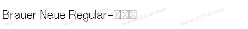 Brauer Neue Regular字体转换 Brauer Neue Regular字体转换
